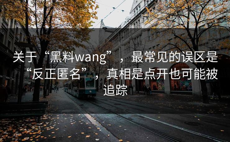 关于“黑料wang”，最常见的误区是“反正匿名”，真相是点开也可能被追踪