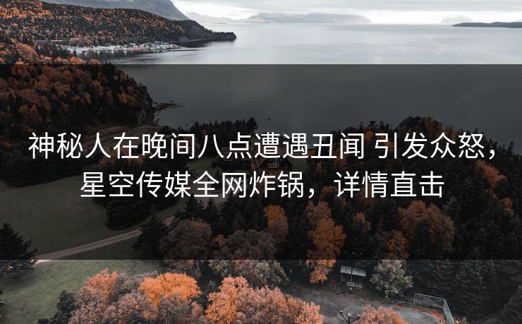 神秘人在晚间八点遭遇丑闻 引发众怒，星空传媒全网炸锅，详情直击